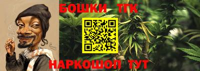 прущие грибы Шелехов