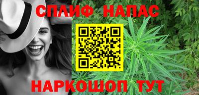 прущие грибы Шелехов