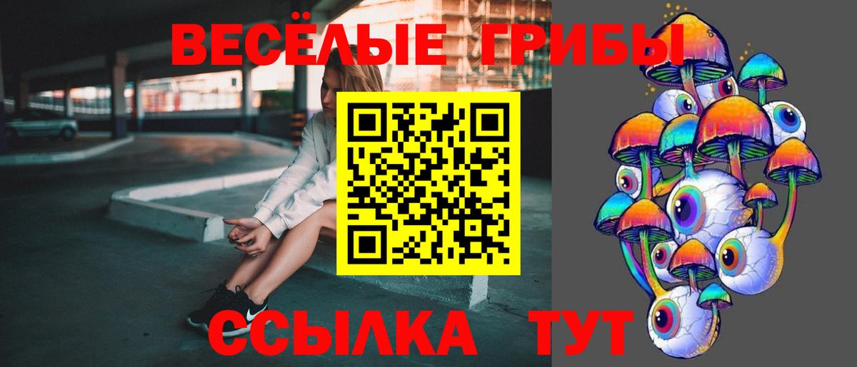 Ишимбай  Псилоцибиновые грибы GOLDEN TEACHER  Вход с VPN 